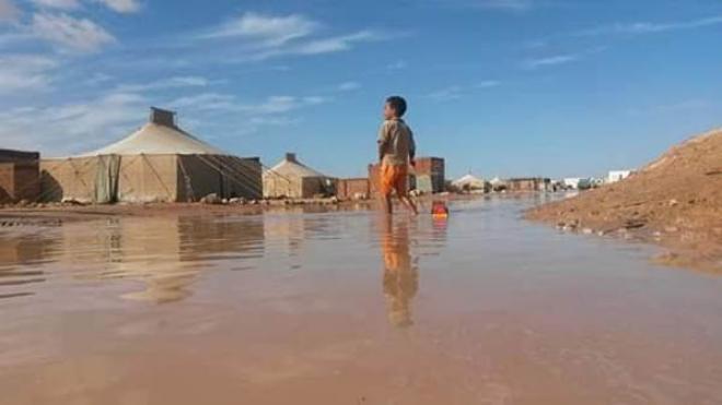 gobierno-saharaui-activa-comision-de-emergencia-por-intensas-lluvias