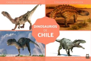 los-singulares-dinosaurios-chilenos