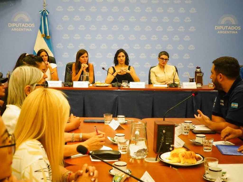 denunciaran-acciones-opositoras-contra-debates-en-congreso-argentino