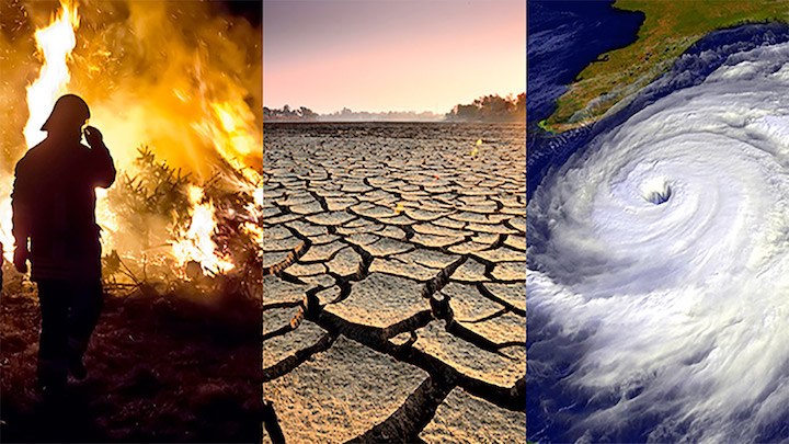 dia-mundial-del-clima-con-altas-temperaturas-y-ecosistemas-danados