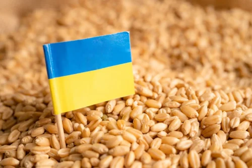 importación de cereales de Ucrania
