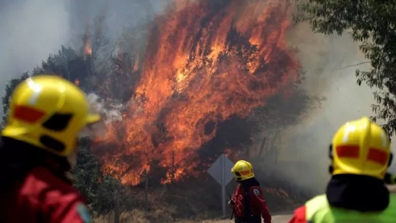 incendios-en-chile-apuntan-a-la-industria-forestal