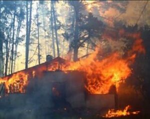 exigen-en-chile-cambiar-modelo-forestal-tras-incendios
