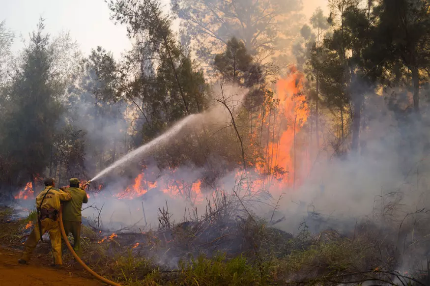 incendios-forestales-en-jamaica-aumentaron-224-por-ciento-en-febrero