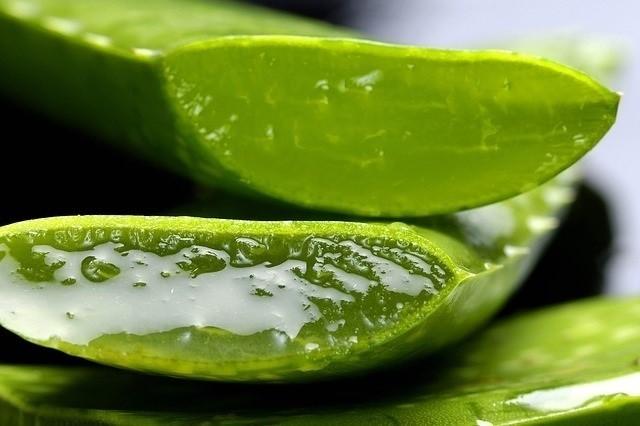 registran-en-serbia-producto-cubano-locion-capilar-de-aloe