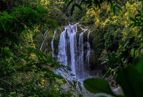 Parque-Nacional-Macaya