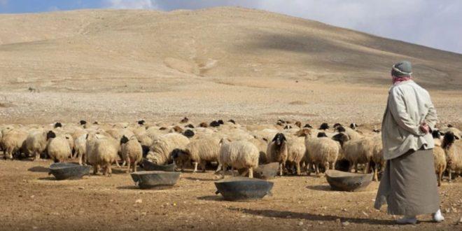 nuevo-ataque-terrorista-cobro-la-vida-de-tres-pastores-en-siria