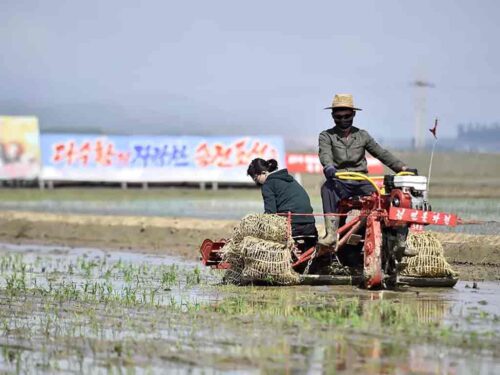 avanza-modernizacion-de-la-agricultura-en-rpdc