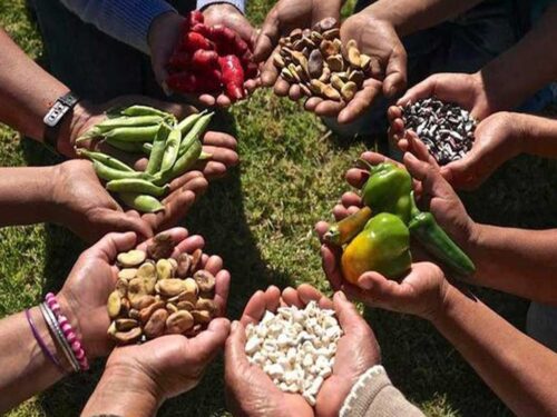 soberanía-alimentaria-de-Cuba