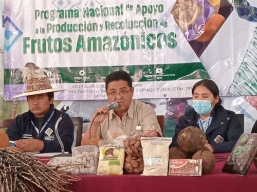 feria-de-frutos-amazonicos-promueve-industrializacion-en-bolivia