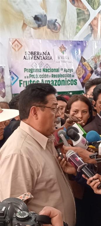  bolivia-promueve-industrializacion-de-frutos-amazonicos
