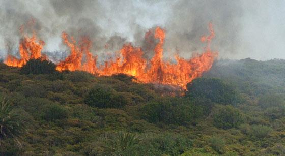 ocho-incendios-activos-muestra-de-sequia-vive-el-salvador