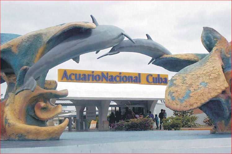 acuario-naional-de-cuba