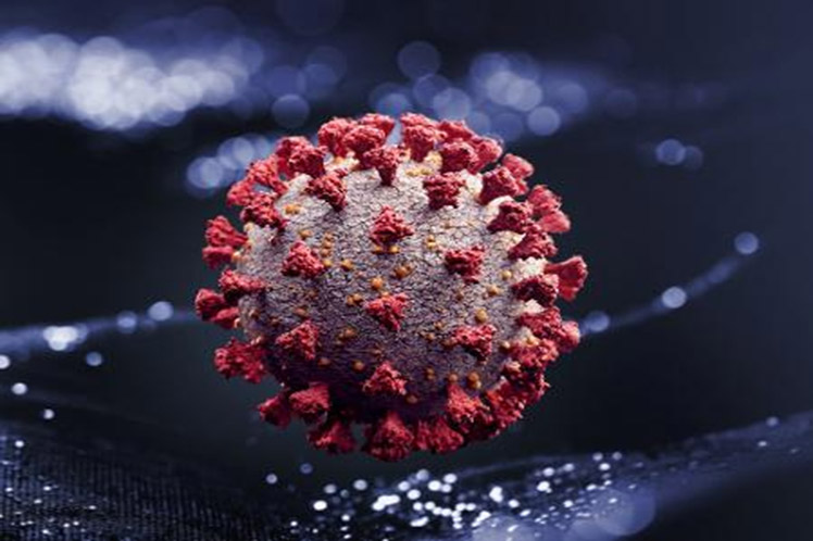 coronavirus