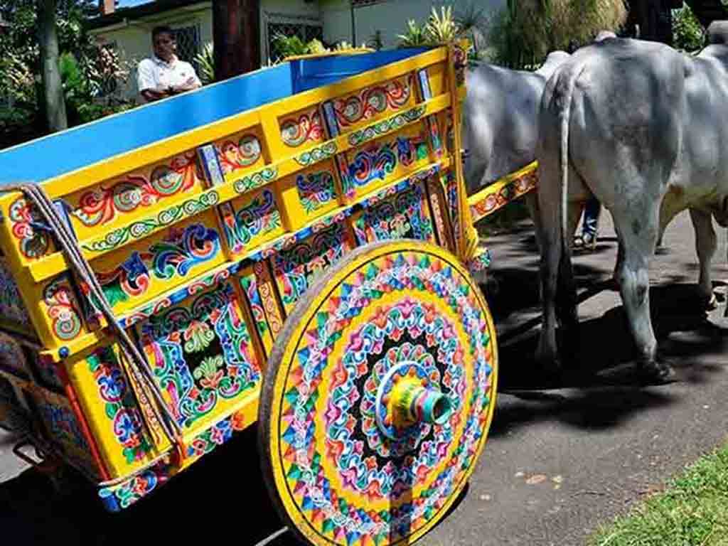 redes-sociales-ticas-de-su-tiempo