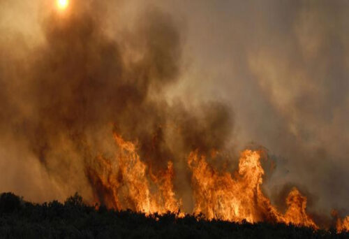 incendio-forestal