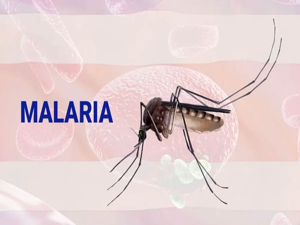 alarma-en-paraguay-por-deteccion-de-enfermo-de-malaria