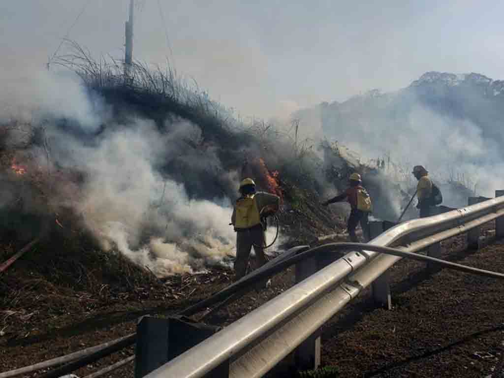 alertan-en-panama-sobre-incremento-de-incendios-de-masa-vegetal