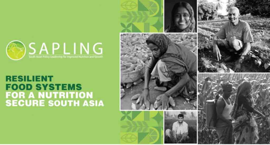 dialogan-sobre-sistema-alimentario-regional-en-sudeste-asiatico
