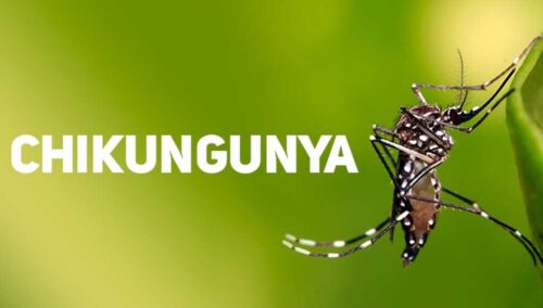 aumenta-en-paraguay-la-demanda-medica-por-secuelas-de-chikungunya