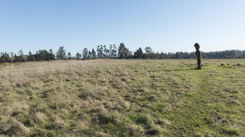 devuelven-lugar-ceremonial-a-pueblo-mapuche-de-chile