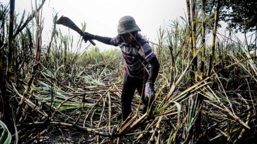 aumentan-las-exportaciones-de-azucar-en-el-salvador