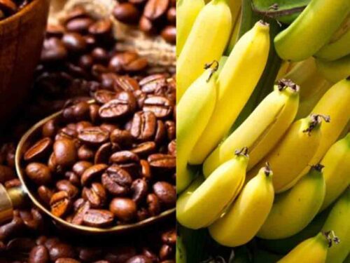 aprueba-china-importacion-del-banano-y-cafe-de-honduras