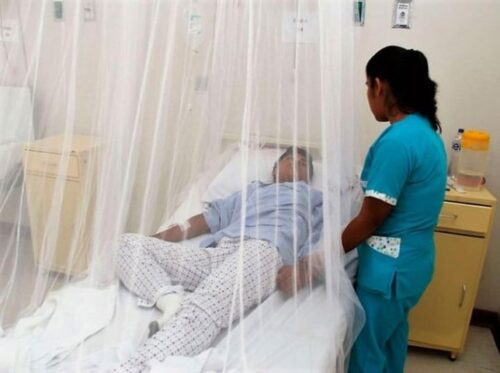nuevo-incremento-de-casos-de-dengue-en-guatemala-mas-de-57-mil