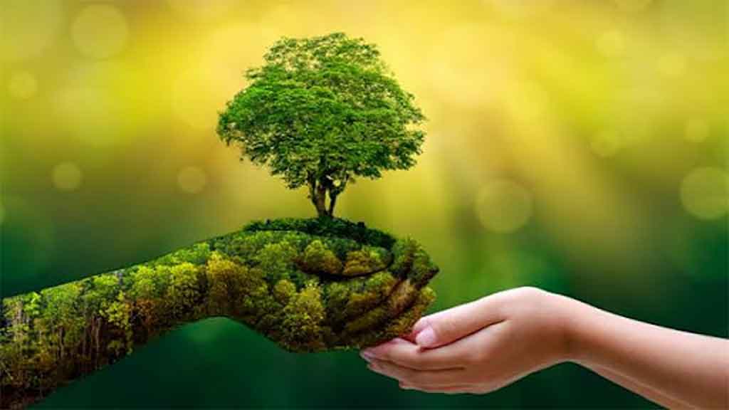 celebran-dia-mundial-de-la-salud-ambiental