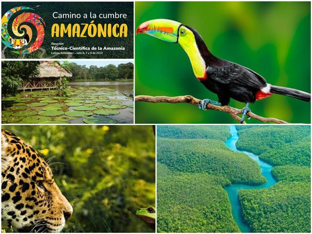 comienza-en-colombia-encuentro-camino-a-la-cumbre-amazonica