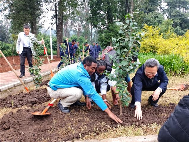 etiopia-supera-cifra-de-siembra-de-500-millones-de-arboles-en-un-dia