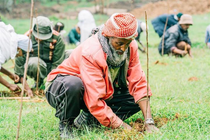  etiopia-supera-cifra-de-siembra-de-500-millones-de-arboles-en-un-dia