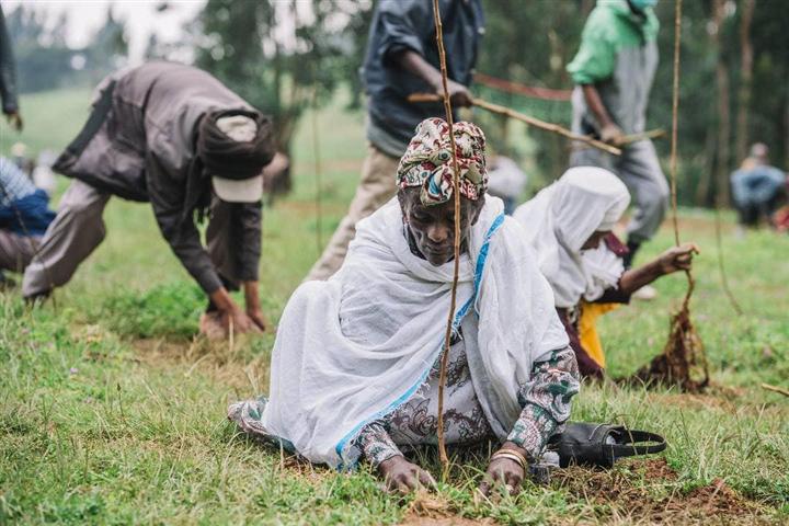  etiopia-supera-cifra-de-siembra-de-500-millones-de-arboles-en-un-dia