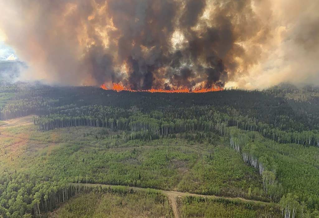 Incendios-forestales