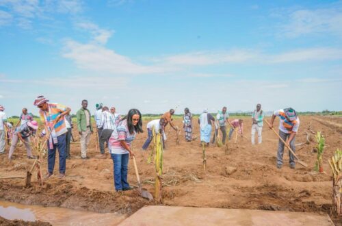 destacan-aporte-de-legado-verde-para-enfrentar-sequia-en-etiopia