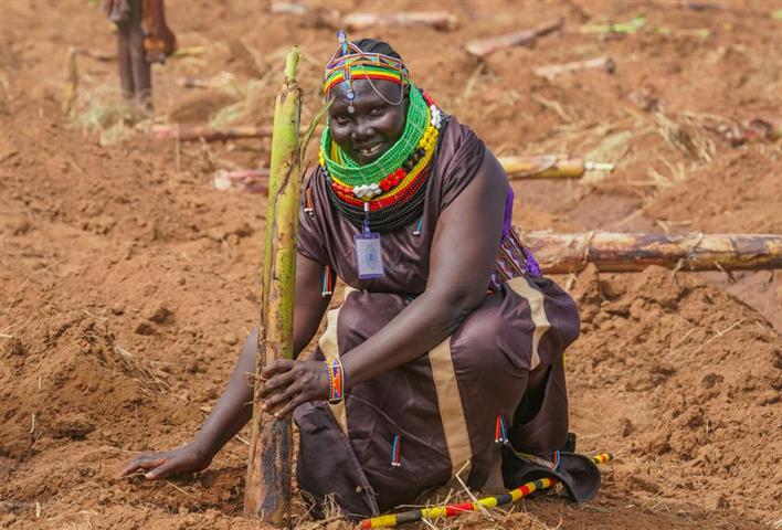  destacan-aporte-de-legado-verde-para-enfrentar-sequia-en-etiopia