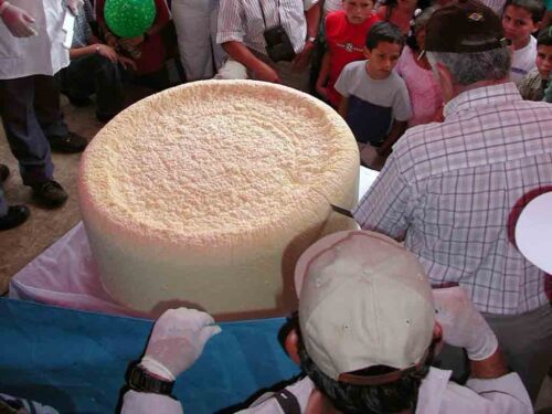 el-queso-mas-grande-de-costa-rica-se-exhibira-en-feria-de-turrialba
