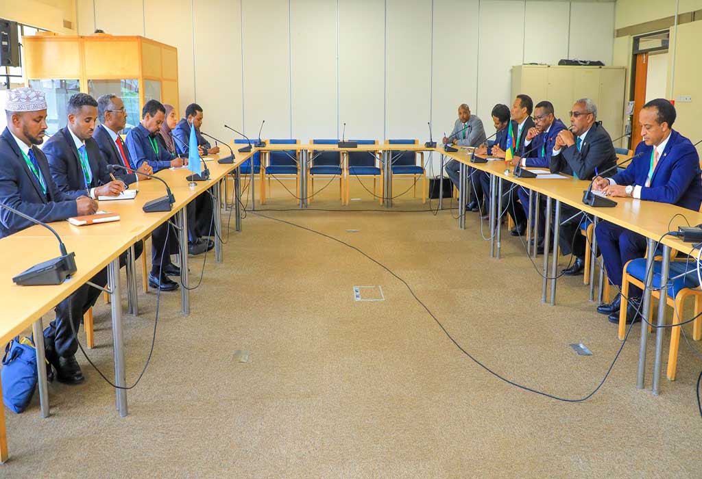 etiopia-somalia-reunion