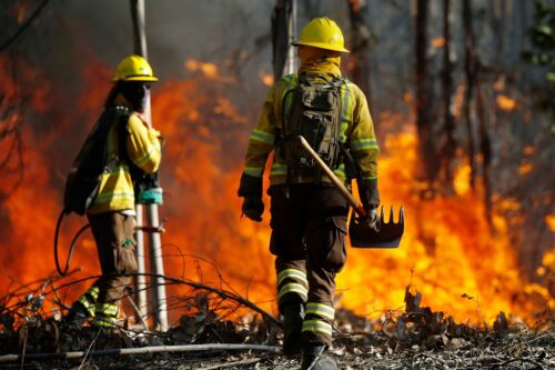 los-incendios-forestales-son-cada-vez-mas-frecuentes