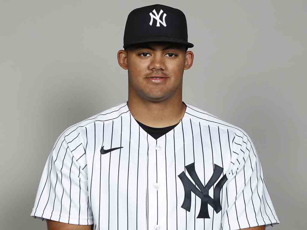 yankees-evaluan-posible-incorporacion-de-torpedero-dominicano