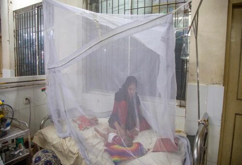 Bangladesh-dengue
