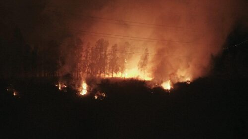 bomberos-intentan-sofocar-incendio-forestal-en-capital-de-ecuador