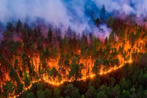 extinguen-52-incendios-forestales-en-rusia-en-un-dia