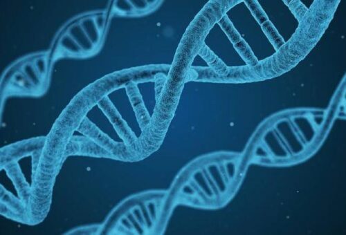 desarrolla-rusia-software-que-predice-estructura-del-genoma-humano