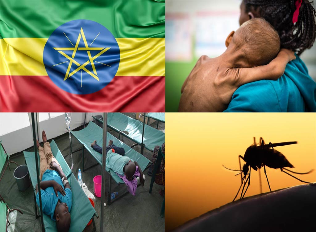 collage-etiopia
