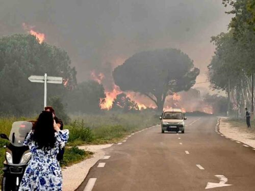 controlan-en-sur-frances-incendio-forestal-que-devasto-500-hectareas