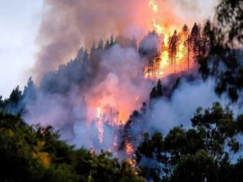 incendio-forestal