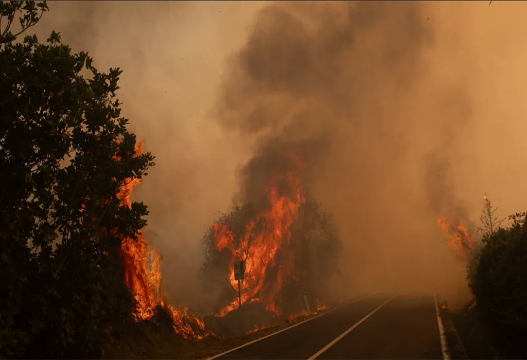 incendio-italia