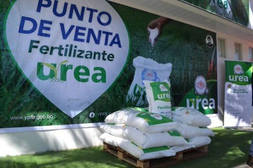 bolivia-promueve-cultivos-con-urea-para-incrementar-ingresos