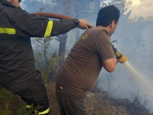 alertan-sobre-peligro-de-incendios-forestales-en-libano